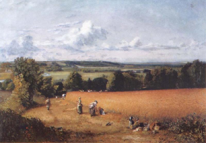John Constable The wheatfield Sweden oil painting art